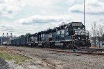NS 5605 on H-55